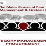 Category Management in Procurement